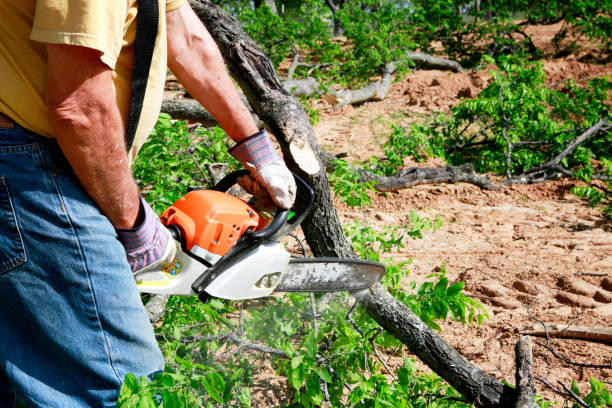 Lawn Irrigation Installation and Maintenance in Lamoni, IA